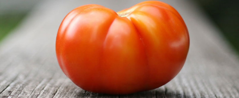 pomodoro